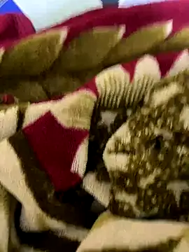 Snapshot of United3 chatting on December 16, 2025, 11:03 am United3 online show from December 16, 2025, 11:03 am