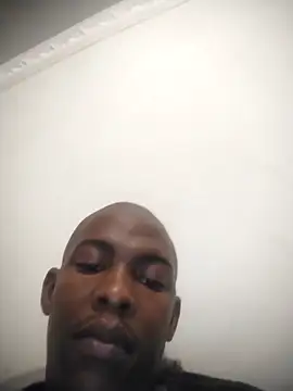 zuludog online show from April 21, 2026, 11:33 pm