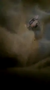 Snapshot of houy111111 chatting on September 23, 2025, 6:48 pm houy111111 online show from September 23, 2025, 6:48 pm