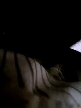 Snapshot of houy111111 chatting on January 9, 2026, 5:53 pm houy111111 online show from January 9, 2026, 5:53 pm