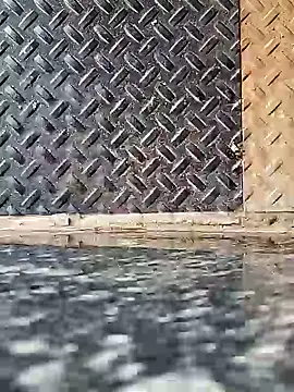 Coastal online show from February 7, 2025, 2:40 am