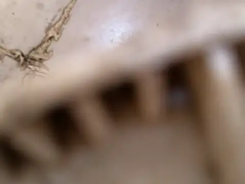 Snapshot of small131 chatting on March 17, 2025, 6:29 am small131 online show from March 17, 2025, 6:29 am