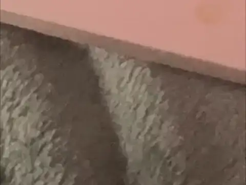 BCNguy1 online show from January 16, 2026, 1:42 am