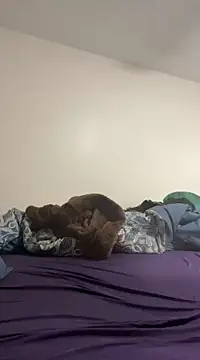 Snapshot of daddymaniaco69 chatting on December 28, 2024, 4:52 pm daddymaniaco69 online show from December 28, 2024, 4:52 pm