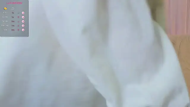 Snapshot of webstars_ chatting on December 27, 2024, 11:17 am webstars online show from December 27, 2024, 11:17 am