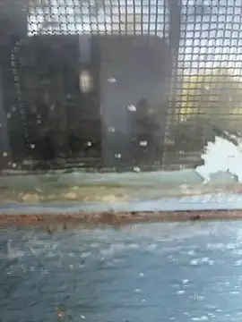 Snapshot of Hillz_king_98 chatting on February 11, 2025, 9:20 am Hillz king 98 online show from February 11, 2025, 9:20 am