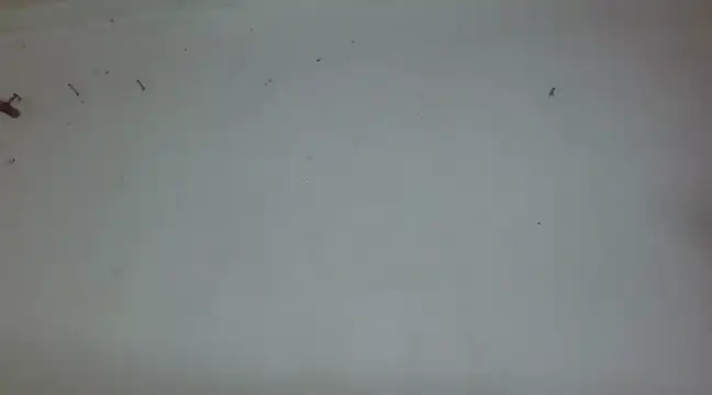 Snapshot of _amira_dalila chatting on December 27, 2024, 3:37 pm amira dalila online show from December 27, 2024, 3:37 pm