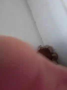 rodrigopvai online show from October 3, 2025, 1:12 pm