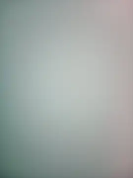 DampedRear online show from February 27, 2026, 11:59 pm