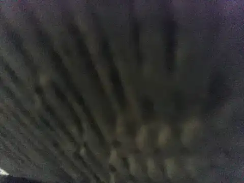 Snapshot of party51502 chatting on March 8, 2025, 7:20 pm party51502 online show from March 8, 2025, 7:20 pm