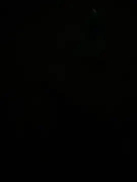 Dvddd online show from April 14, 2026, 2:33 pm