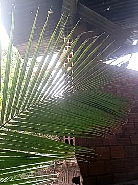 Snapshot of Andres123cv chatting on December 18, 2025, 9:18 pm Andres123cv online show from December 18, 2025, 9:18 pm