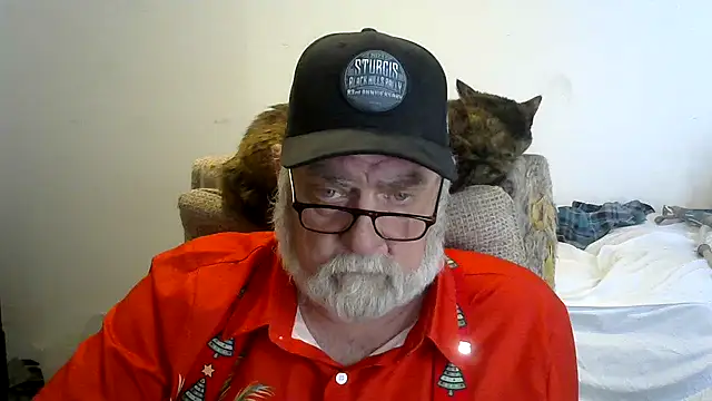 viejo oso online show from December 14, 2025, 10:37 pm