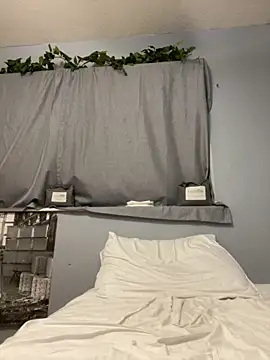 halo 2727 online show from November 15, 2025, 3:27 pm