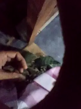 Snapshot of xLoveer chatting on December 5, 2025, 6:06 pm xLoveer online show from December 5, 2025, 6:06 pm