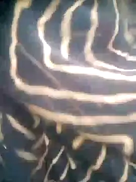 Snapshot of Amaya_Bajwa chatting on October 29, 2025, 1:15 am Amaya Bajwa online show from October 29, 2025, 1:15 am