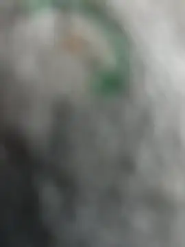 Snapshot of qazsazx chatting on October 21, 2025, 3:55 pm qazsazx online show from October 21, 2025, 3:55 pm