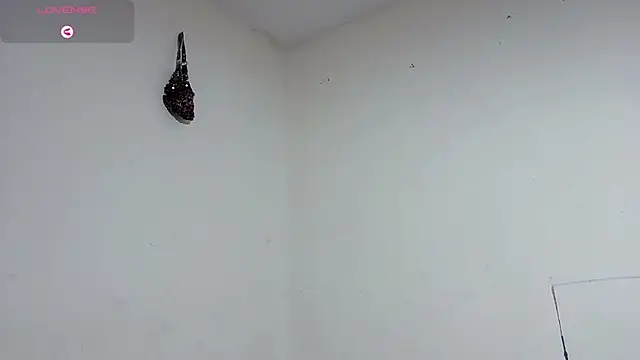 Snapshot of boysLittle chatting on February 7, 2026, 10:45 am boysLittle online show from February 7, 2026, 10:45 am