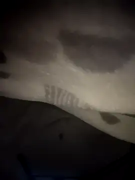 Snapshot of BrunoGoldf chatting on November 14, 2025, 9:29 pm BrunoGoldf online show from November 14, 2025, 9:29 pm