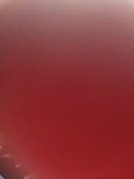 blondaf online show from November 25, 2025, 5:30 am