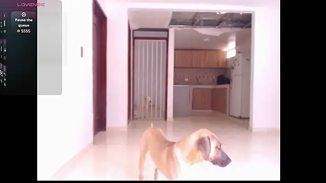 Snapshot of leslycarsson chatting on October 7, 2025, 7:15 pm leslycarsson online show from October 7, 2025, 7:15 pm