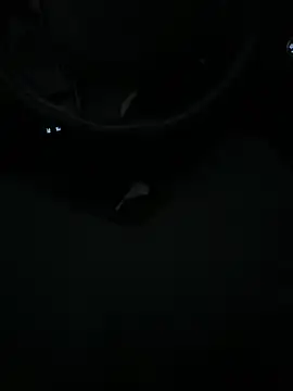 Snapshot of DutchPublic chatting on January 19, 2025, 4:36 pm DutchPublic online show from January 19, 2025, 4:36 pm