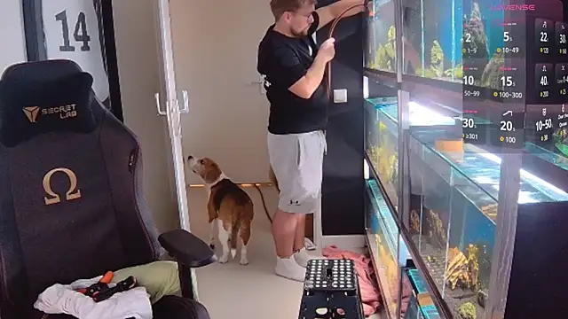 justinitt online show from February 26, 2025, 2:59 pm