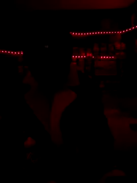 Blade Ryder666 online show from December 17, 2025, 7:57 am