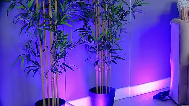 Snapshot of PatriciaSpice chatting on November 13, 2025, 5:22 am PatriciaSpice online show from November 13, 2025, 5:22 am