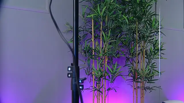 PatriciaSpice online show from January 15, 2026, 5:33 am