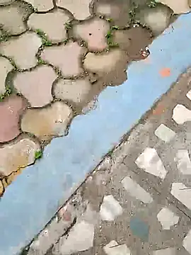 Raj41 online show from October 5, 2025, 4:25 am