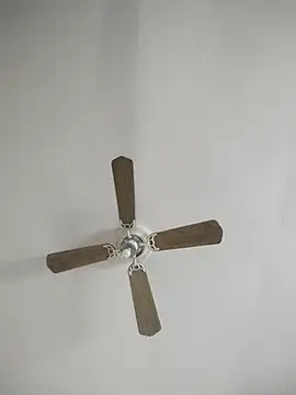 Ernestomh online show from December 22, 2025, 6:52 pm