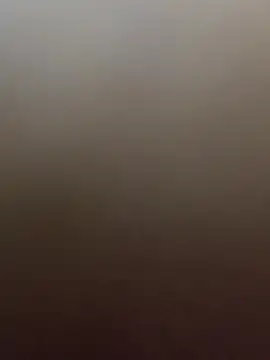 Danilip online show from January 18, 2026, 7:50 pm