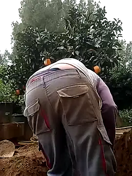 wapo100x100 online show from January 29, 2025, 1:17 pm