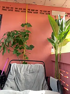 White Lu online show from April 23, 2026, 2:07 am