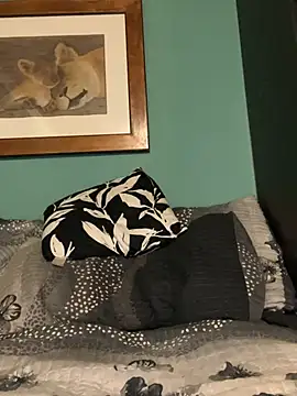 Snapshot of clipper12 chatting on April 12, 2026, 7:11 am clipper12 online show from April 12, 2026, 7:11 am