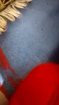 Snapshot of mhmia chatting on February 5, 2025, 8:21 am mhmia online show from February 5, 2025, 8:21 am