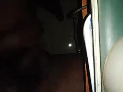 world bigdick1 online show from February 14, 2025, 5:14 pm