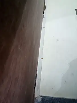 TeluguammayiMahi online show from October 10, 2025, 12:00 am