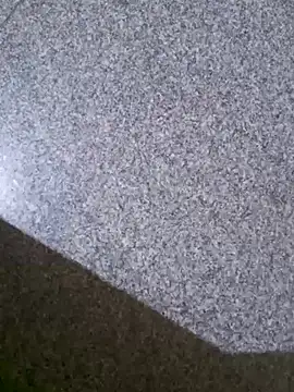 TeluguammayiMahi online show from March 21, 2025, 2:07 pm