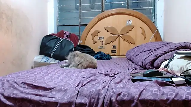 Snapshot of nakedlima chatting on October 31, 2025, 5:15 am nakedlima online show from October 31, 2025, 5:15 am