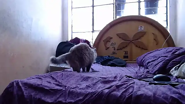 Snapshot of nakedlima chatting on October 31, 2025, 5:20 pm nakedlima online show from October 31, 2025, 5:20 pm