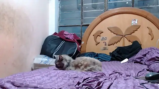 Snapshot of nakedlima chatting on October 27, 2025, 6:58 am nakedlima online show from October 27, 2025, 6:58 am