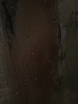 Snapshot of RussNocturnal chatting on March 1, 2025, 7:41 am RussNocturnal online show from March 1, 2025, 7:41 am