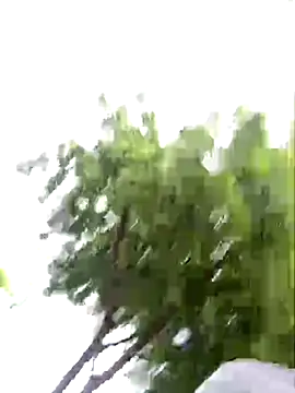 Snapshot of arevalo1124 chatting on November 26, 2025, 9:26 pm arevalo1124 online show from November 26, 2025, 9:26 pm