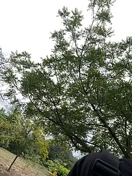 Snapshot of arevalo1124 chatting on December 2, 2025, 9:16 pm arevalo1124 online show from December 2, 2025, 9:16 pm