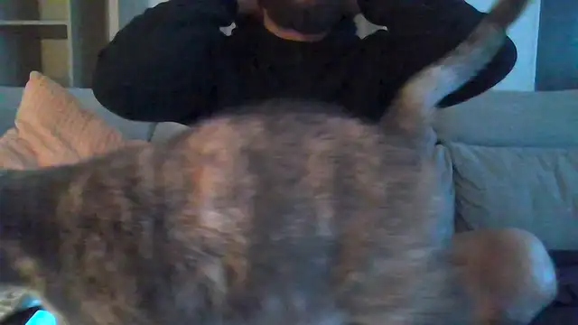 Zer oki online show from January 7, 2026, 3:17 pm