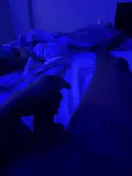 bigbola304 online show from April 3, 2026, 11:49 am