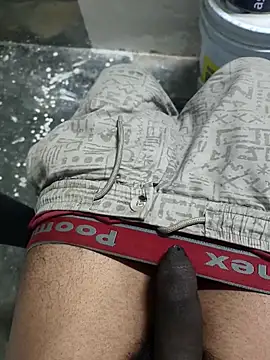 Snapshot of omni_333 chatting on February 4, 2026, 1:17 pm omni 333 online show from February 4, 2026, 1:17 pm