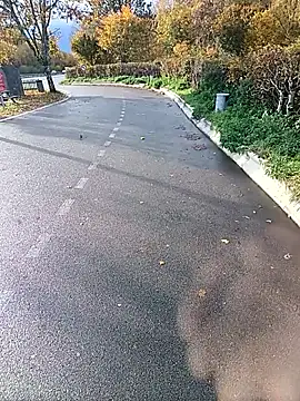 Snapshot of Dam70 chatting on October 22, 2025, 2:16 pm Dam70 online show from October 22, 2025, 2:16 pm